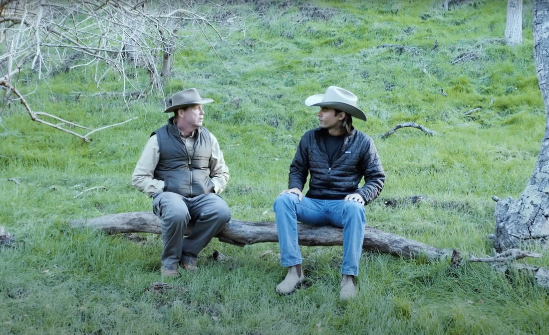 Grazing Patterns and Practices