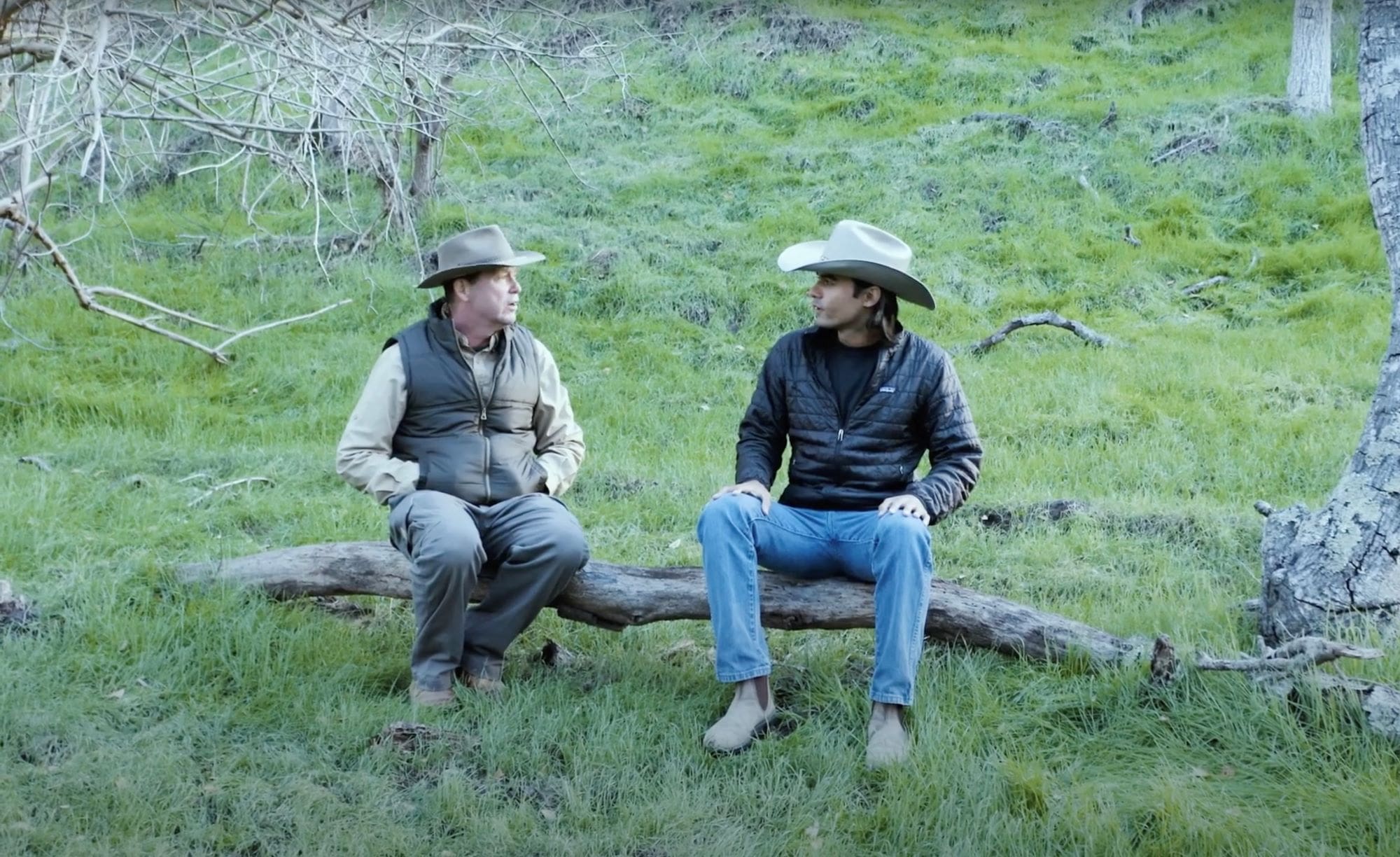 Grazing Patterns and Practices